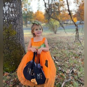 Pottery Barn light up pumpkin costume size 4-6